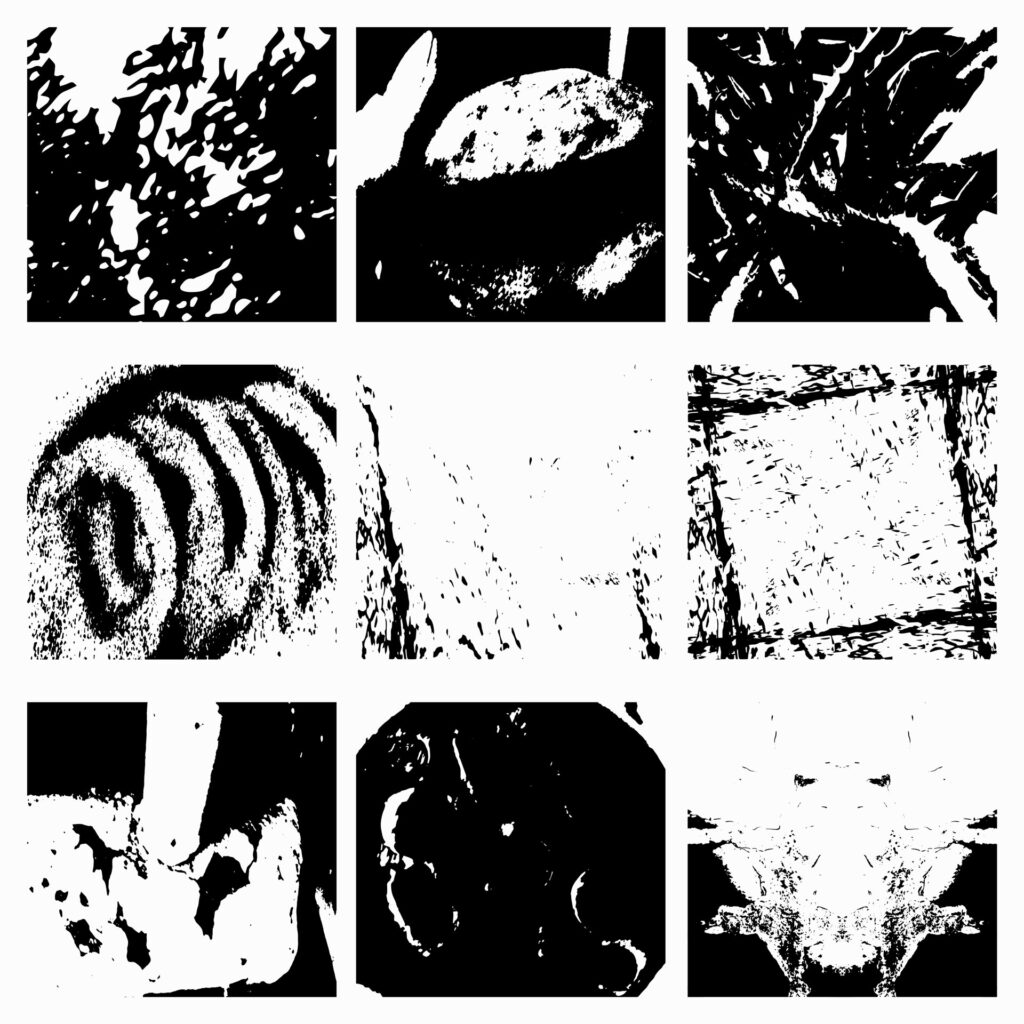 Neun Collagenbilder von Speisen; detailliert, schwarz-weiß, abstrakter Stil.